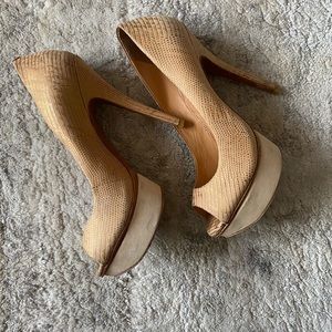 ALDO platform pump